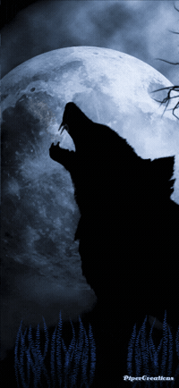 200w.gif?cid=82a1493bkb4l9r27y876tq2iptr