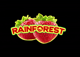 RainforestCarib strawberry rainforest rainforest caribbean GIF