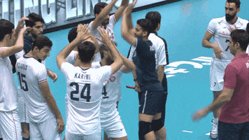 Get In GIF by Volleyball World
