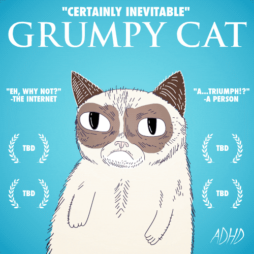 grumpy cat lol GIF by Animation Domination High-Def