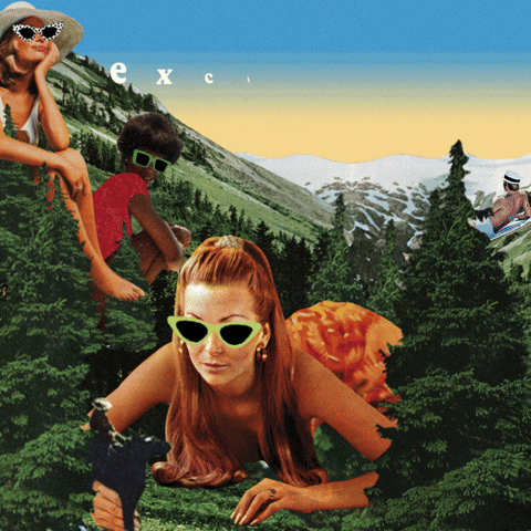 Shambhalahumanresources GIF by Shambhala Music Festival