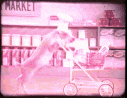 Grocery Store Vintage GIF