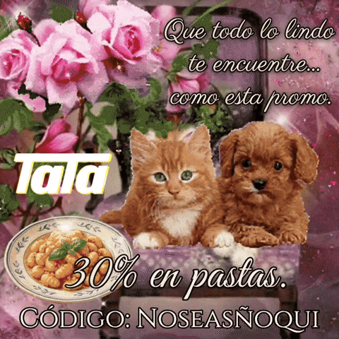 GIF by Ta-Ta Supermercados