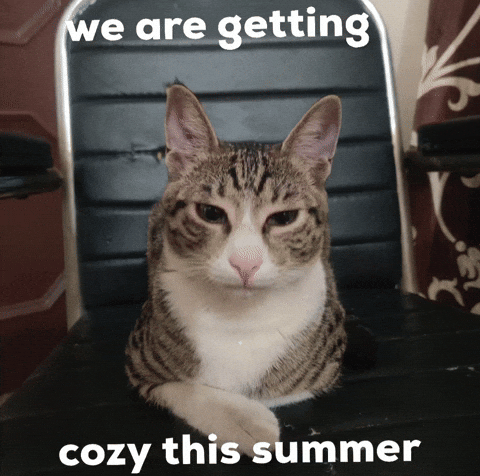 Cozy This Summer GIF