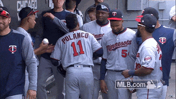 polanco hug GIF by MLB