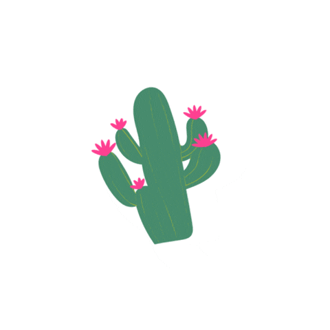 Hair Mexico Sticker by Covet & Mane