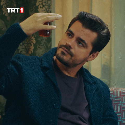 Berk Atan Look GIF by TRT