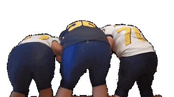 Sticker by Berlin Kobra Ladies