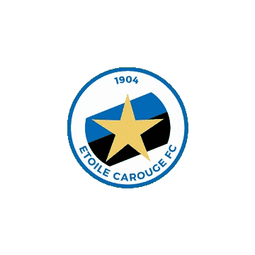 Logo Ecfc Sticker by Etoile Carouge FC