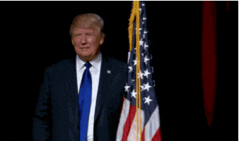 donald trump GIF
