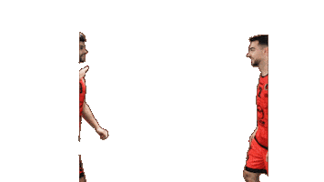 Handball Dragon Sticker by HCCA