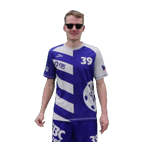 FbC Plzeň Sticker