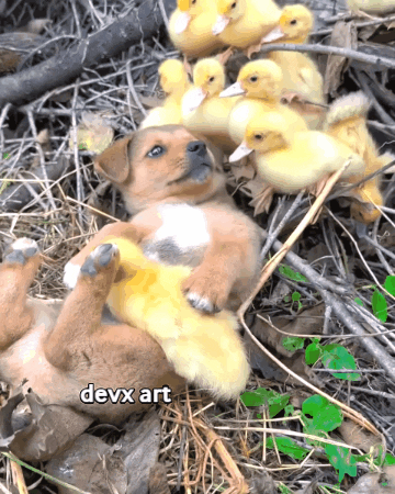 Dog Duck GIF by DevX Art