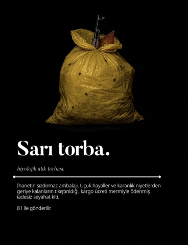 Asker Millet GIF