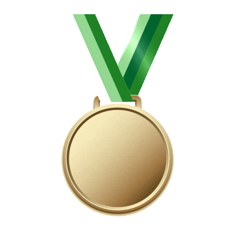 Winner Fotball Sticker by Widerøe