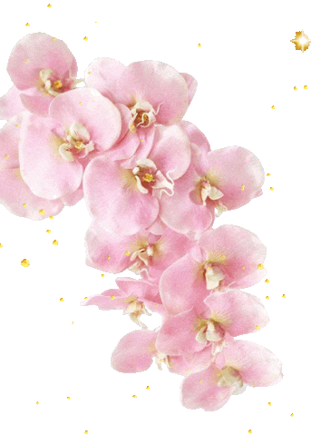 Source: kamatakimaria