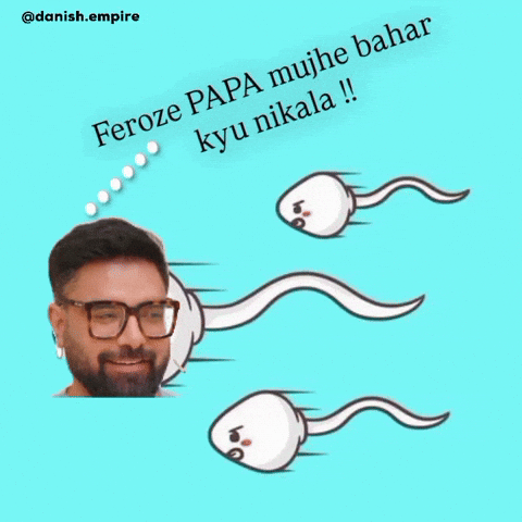 Pakistan Cricket GIF