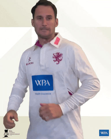 Fist Pump Celebrate GIF by Somerset County Cricket Club