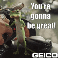 You Can Do It GIF by GEICO
