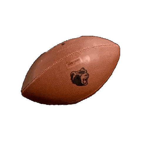 Touchdown Gameday Sticker by Hannover Grizzlies