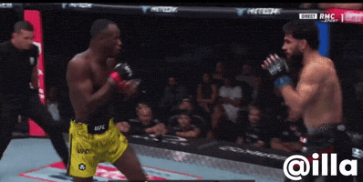 Illa GIF