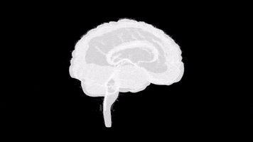 200.gif?cid=fc005b08c31f4e97337b9d4052a6ed202ef48e8af207082e&rid=200.gif&ct=g