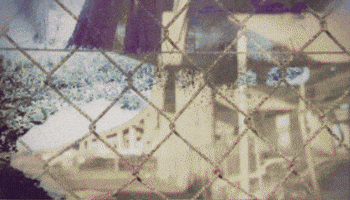 GIF by Paul Trillo