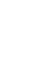 Bright Sticker by Favel