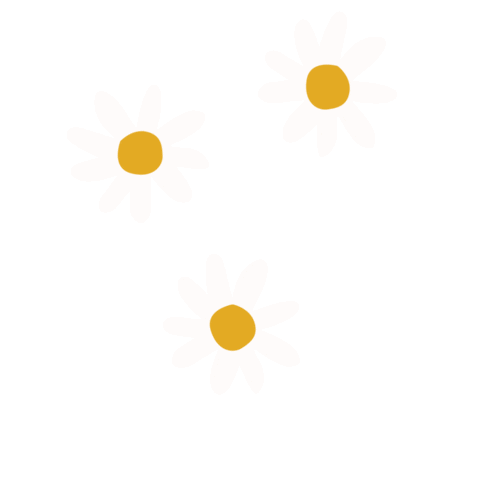 Flower Daisy Sticker