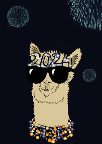 Happy New Year Party GIF by Ka'anaIT