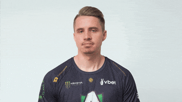 Dota 2 Smh GIF by Alliance