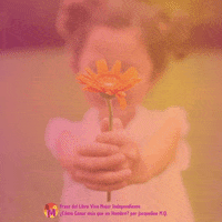 Mujer Independiente GIF by Jacqueline M.Q.