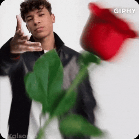 Take This Flower GIF