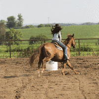 200w.gif#11