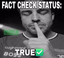Fernando Alonso Fact GIF
