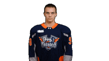 Game Day Goal Sticker by Flint Firebirds