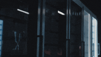 Beer GIF by MichelobULTRA