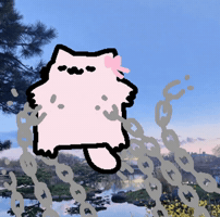Spainnubcat GIF