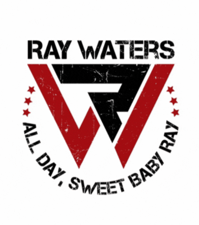 Sweetbaby Ray GIF by Chandler MMA