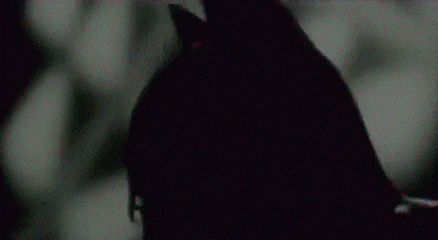 Shocked 80S GIF - Find & Share on GIPHY