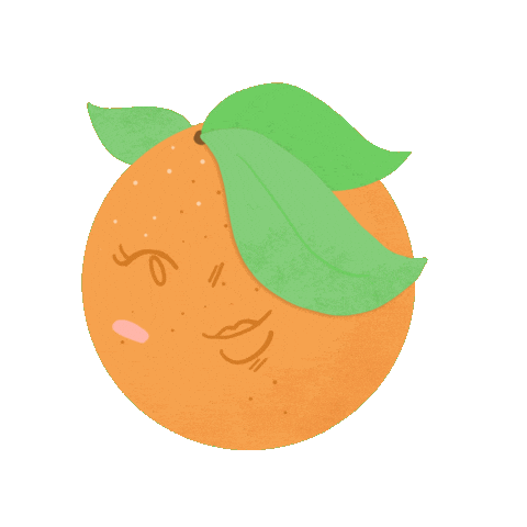 Orange Fruit Summer Sticker