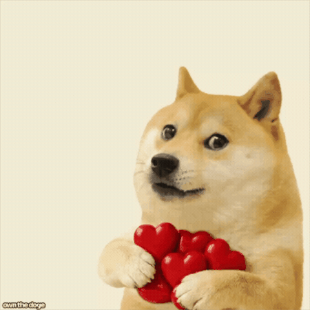 Anniversary Love GIF by Own The Doge