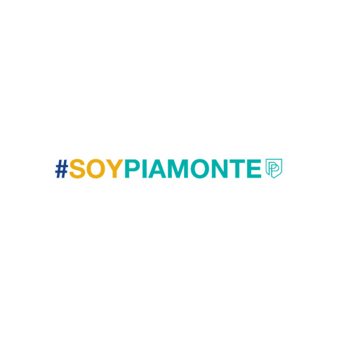 Colegio Piamonte Sticker