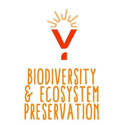 Activism Rays Sticker by RAINFOREST YOUTH SUMMIT