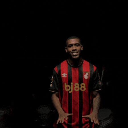 Happy Premier League GIF by AFC Bournemouth