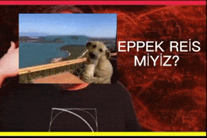 Kopek Evrim GIF