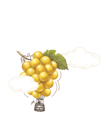 White Wine Sticker by Oliver Winery
