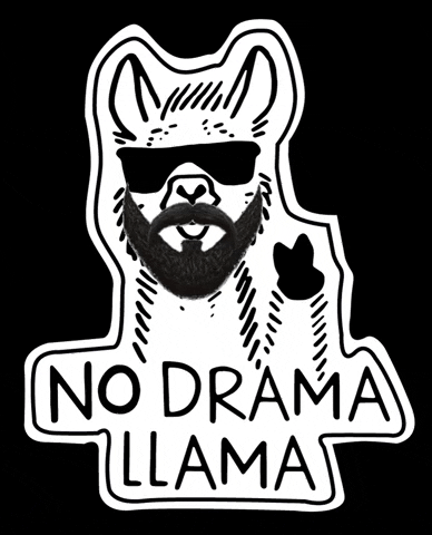 No Drama Llama GIF by Elements Digital