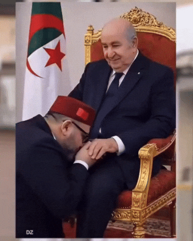 Dz GIF