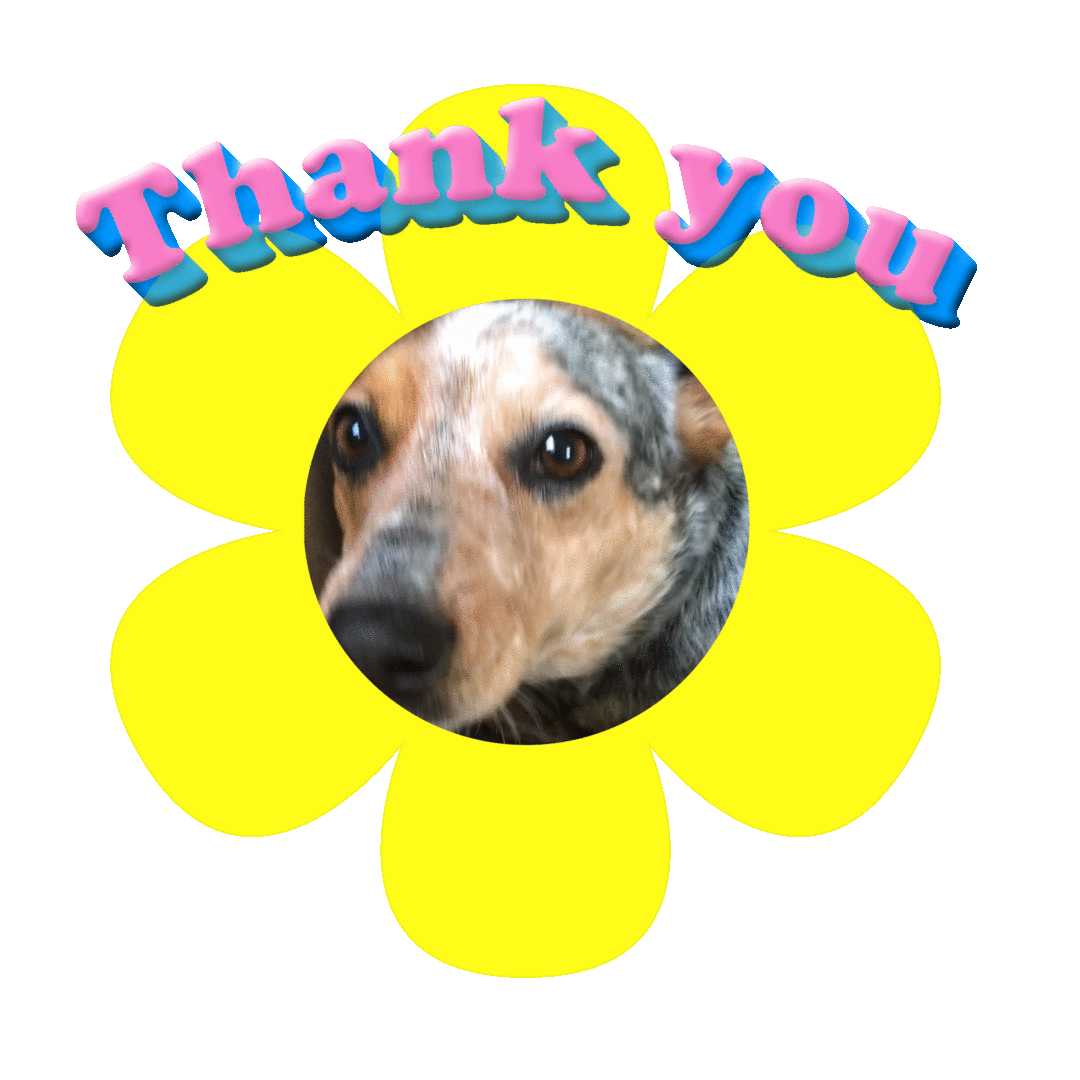 Featured image of post Puppy Thank You Gif I want to thank all my fans and followers for your support and comments